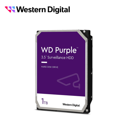 WD11PURZ