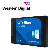 WDS200T3B0A