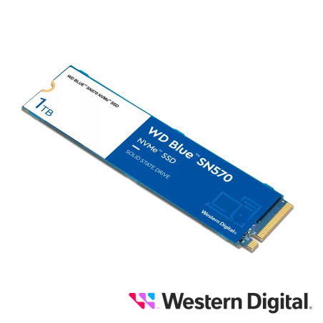 WDS100T3B0C