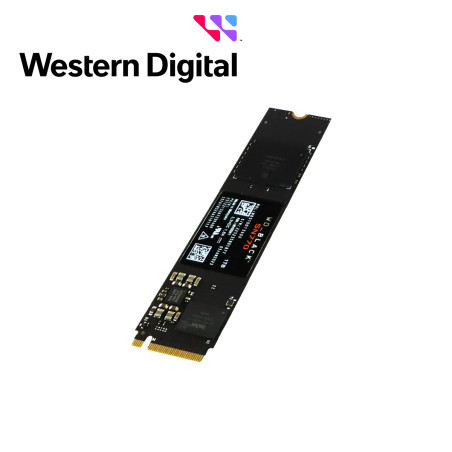 WDS100T3X0C