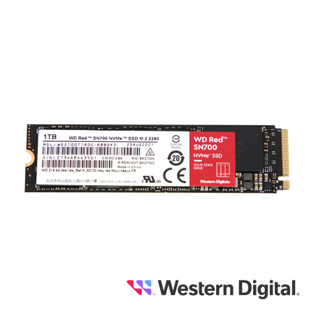 WDS100T1ROC