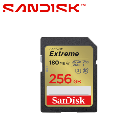 SDSDXVV-256G-GNCIN