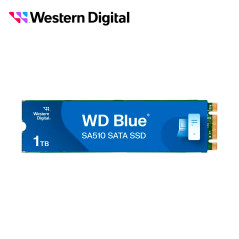 WDS100T3B0B