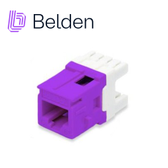 Jack modular RJ-45 Categoria 6 KeyConnect BELDEN AX104194 purpura