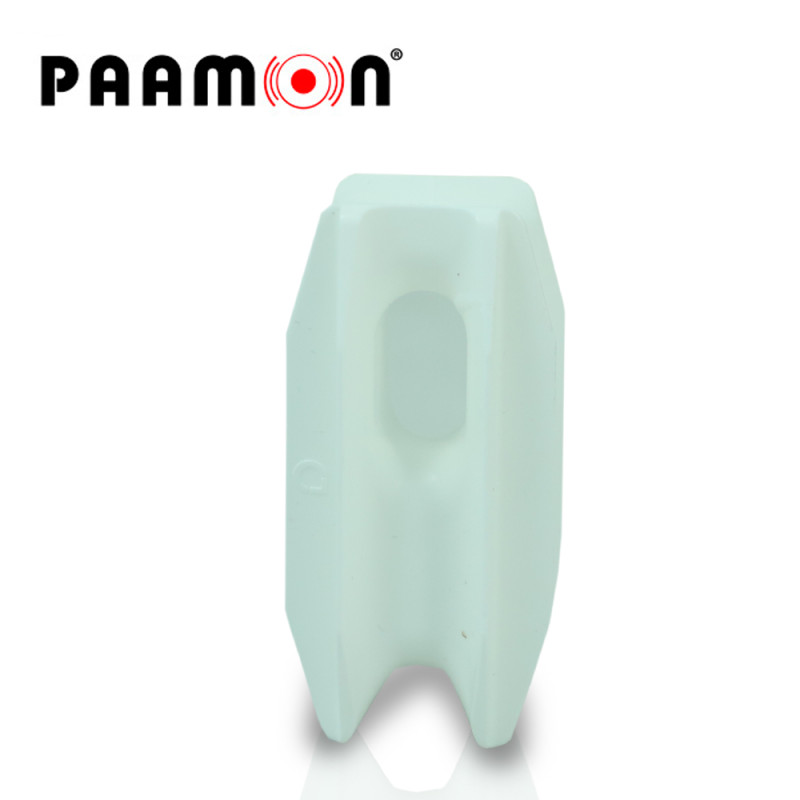 PAM-AISESQUINAW