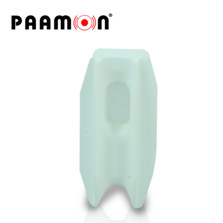 PAM-AISESQUINAW