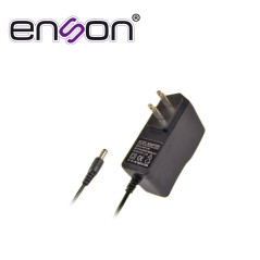 ENS- PSW1210