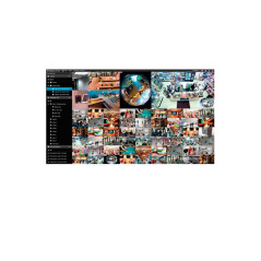 LICENCIA SOFTWARE GEOVISION GV-VMS 10 CANALES ONVIF TERCEROS DONGLE USB