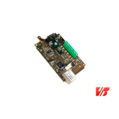 VBIPG