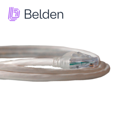 Patchcord UTP Categoría 6 UTP Categoría 6 7 pies 2.1 metros BELDEN C601109007