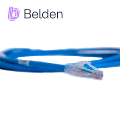Patch cord UTP Cat6A Categoría 6A UTP 7 pies 2.1 metros BELDEN CA21106007