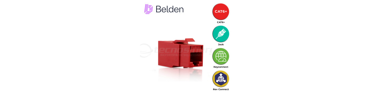 CAT6