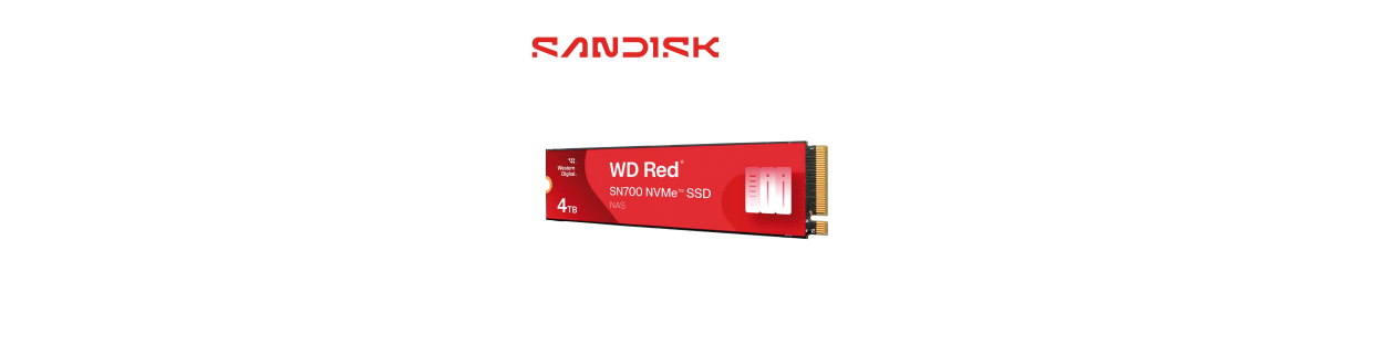 Memorias SD y MicroSD