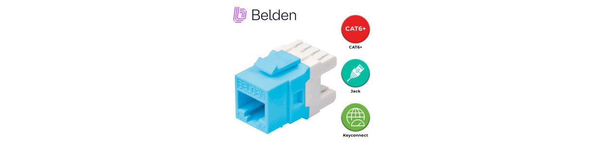 CAT6