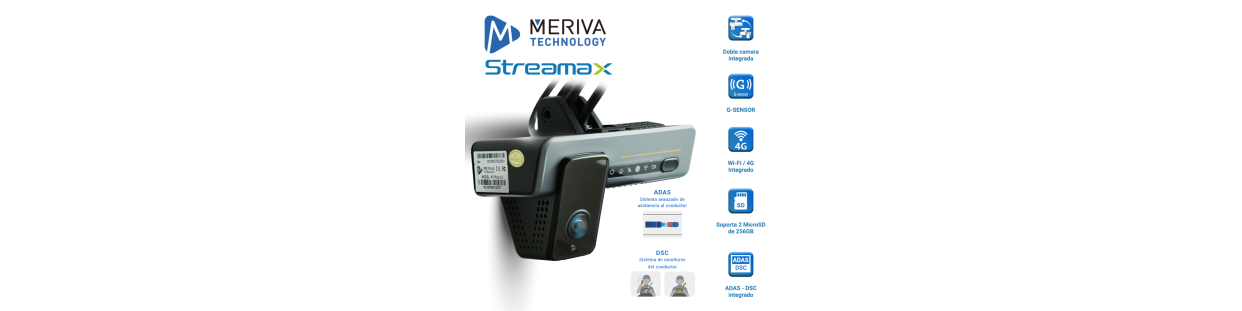 Grabadores Móviles / DVR 4G