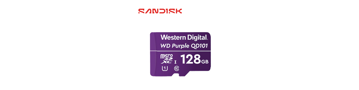 SD y MicroSD Movil